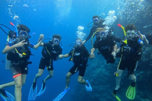 Snorkeling Experience – Single Dive