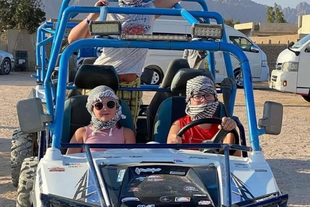 Luxury Safari Ride Experience (Double & Quad Options)