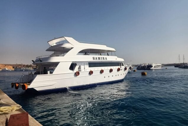 Luxury Sea Boat Experience – 1 Hour